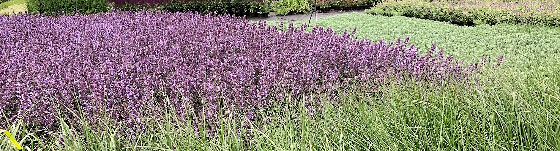 tuincentrum friesland